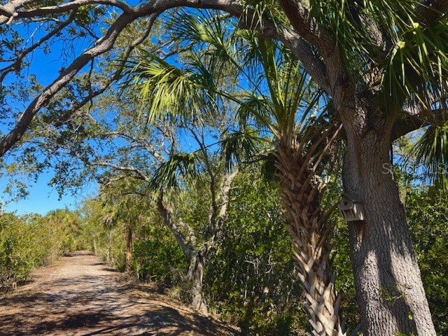 6251 Shoreline Drive #2205 Seminole FL 33708 TB8487954 image45