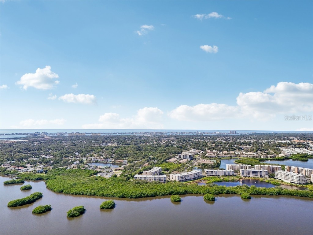 6251 Shoreline Drive #2205 Saint Petersburg FL 33708 TB8442710 image18