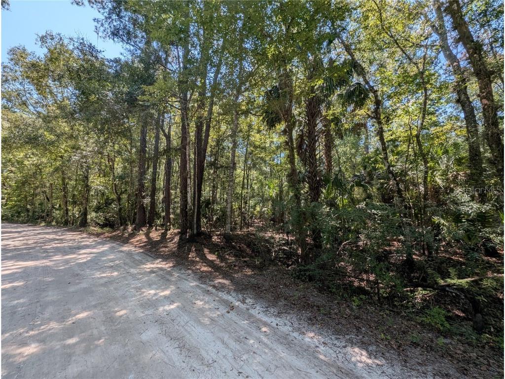 6252 E River Road Hernando FL 34442 TB8422344 image2