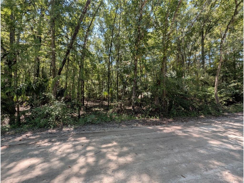 6252 E River Road Hernando FL 34442 TB8422344 image3