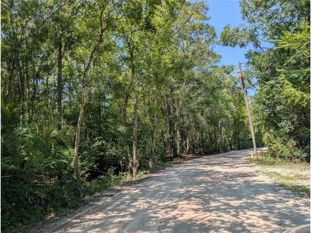 6252 E River Road Hernando FL 34442 TB8422344 image4