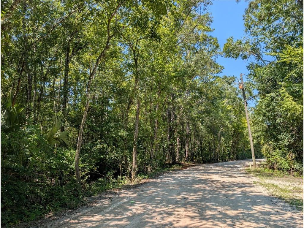 6252 E River Road Hernando FL 34442 TB8422344 image5