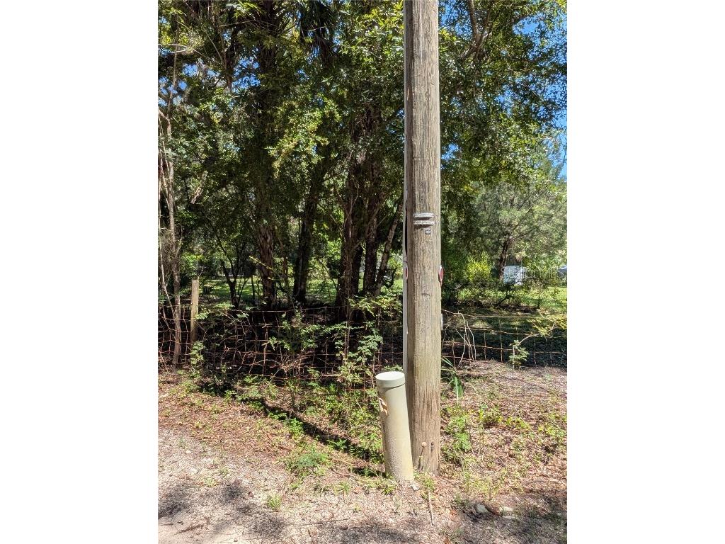 6252 E River Road Hernando FL 34442 TB8422344 image6