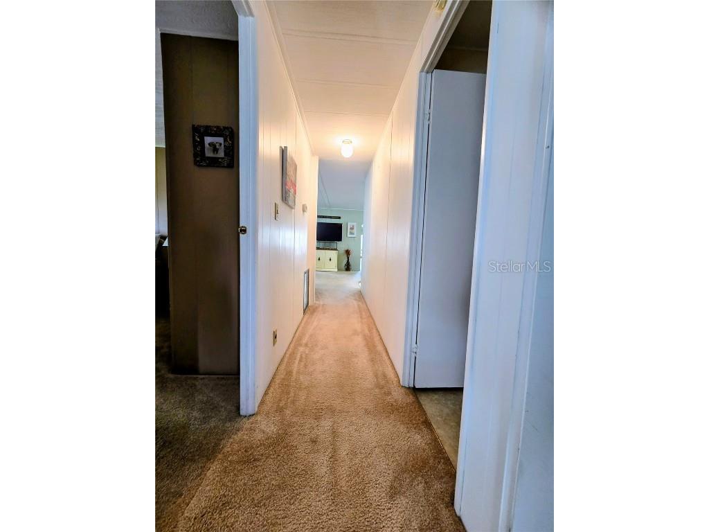 6252 Friendship Lane Zephyrhills FL 33542 TB8434889 image23