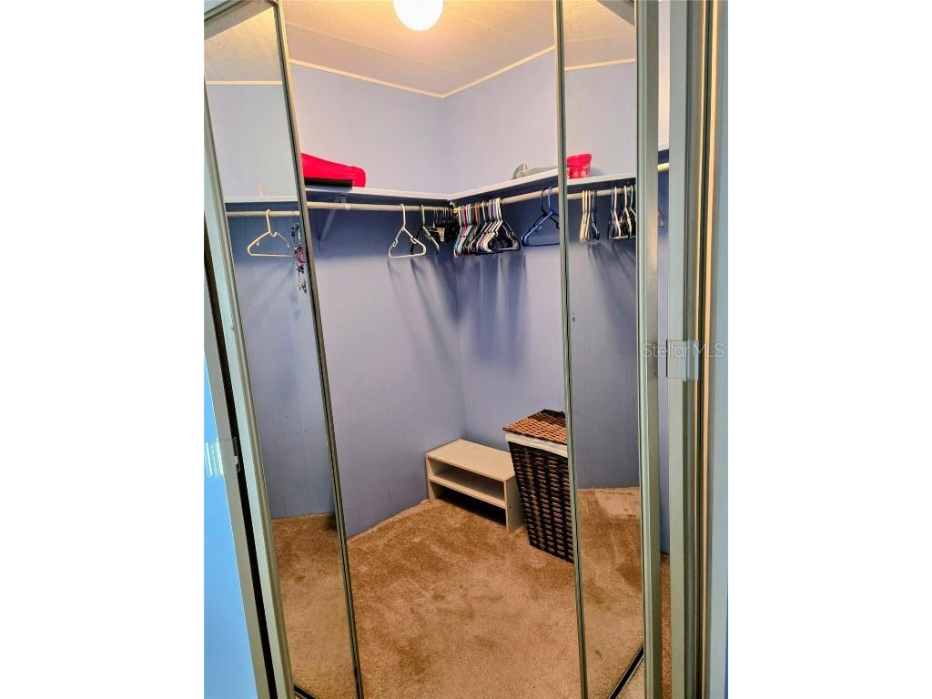 6252 Friendship Lane Zephyrhills FL 33542 TB8434889 image28