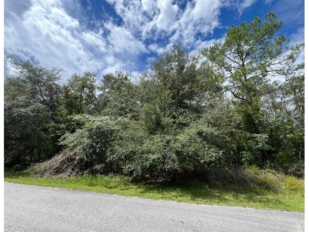 6252 N Cavalier Terrace Citrus Springs FL 34433 O6342334 image1