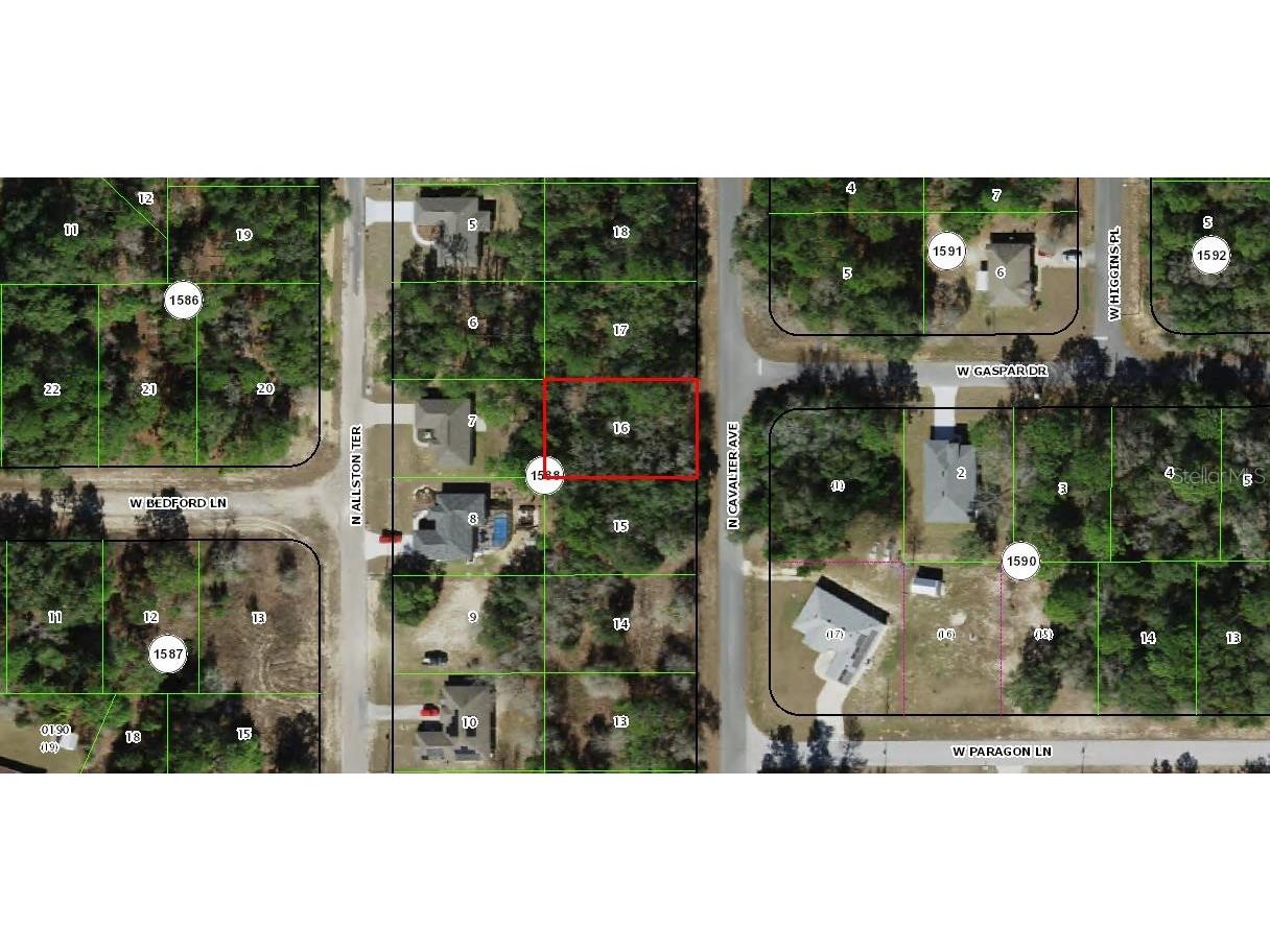 6252 N Cavalier Terrace Citrus Springs FL 34433 O6342334 image2