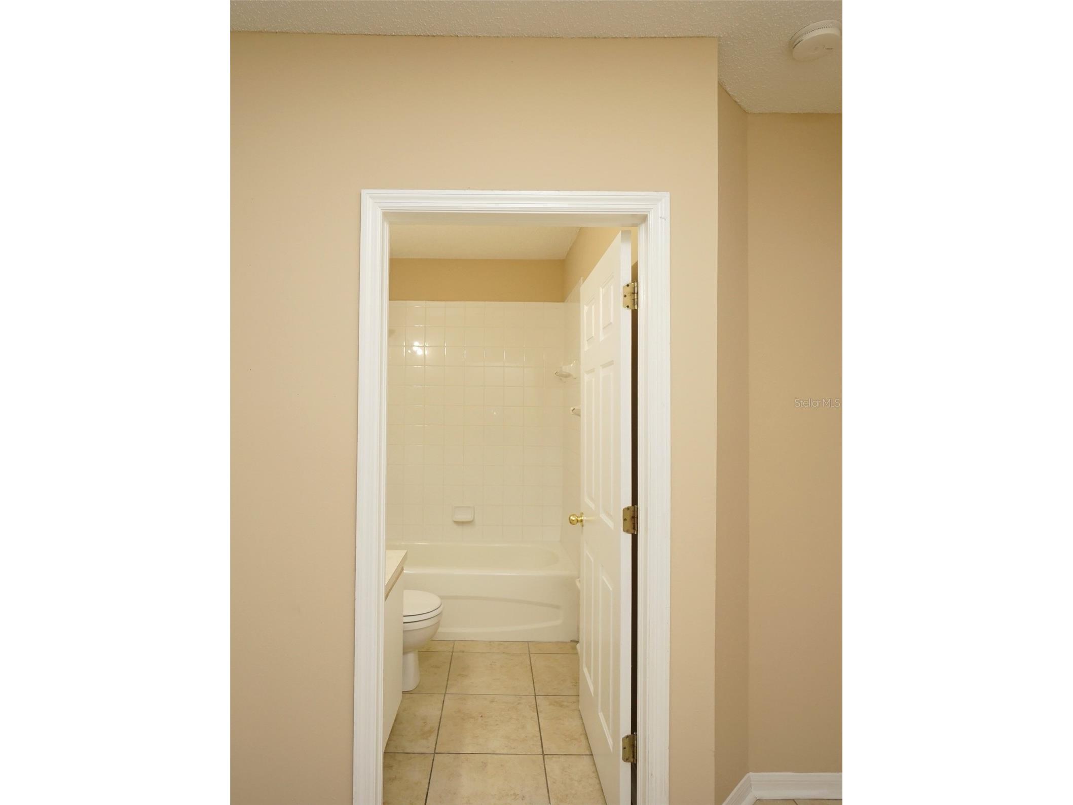 6252 Osprey Lake Circle Riverview FL 33578 TB8504197 image13