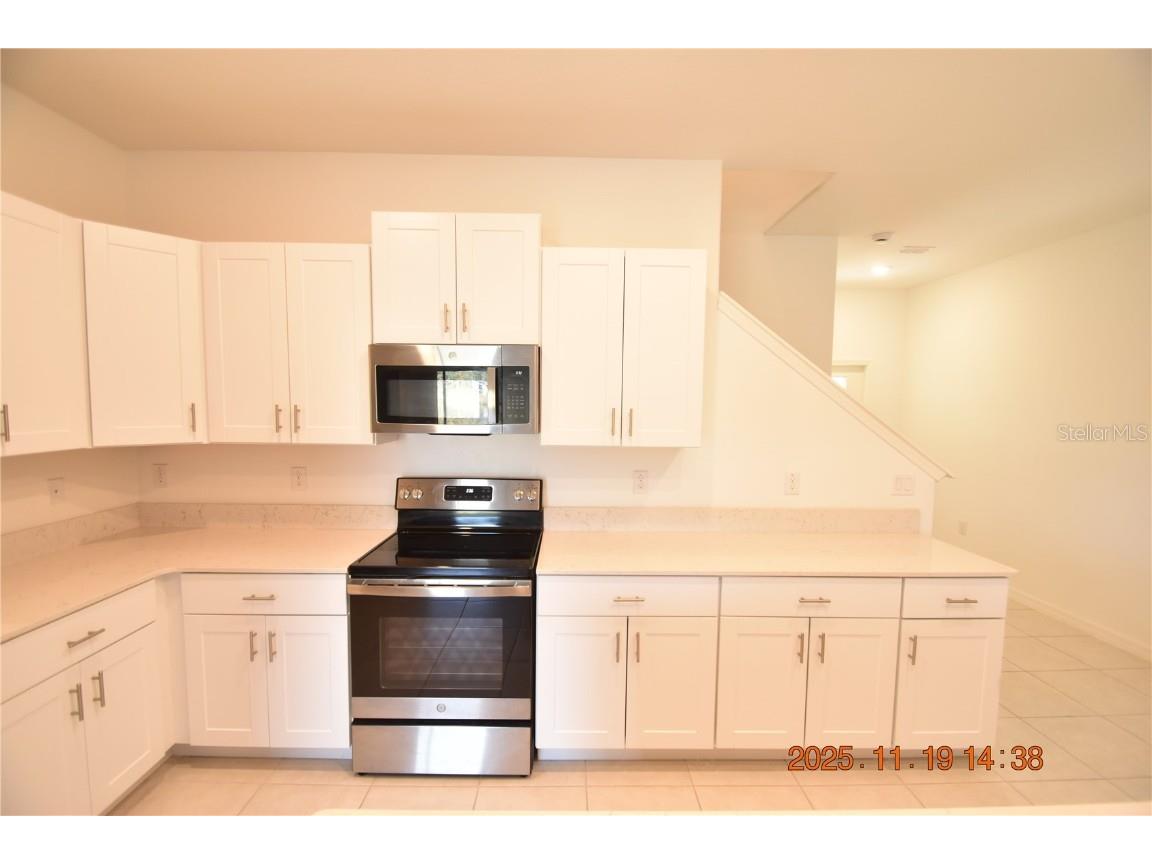 6252 Shiner Street #6252 Land O Lakes FL 34638 TB8450510 image25