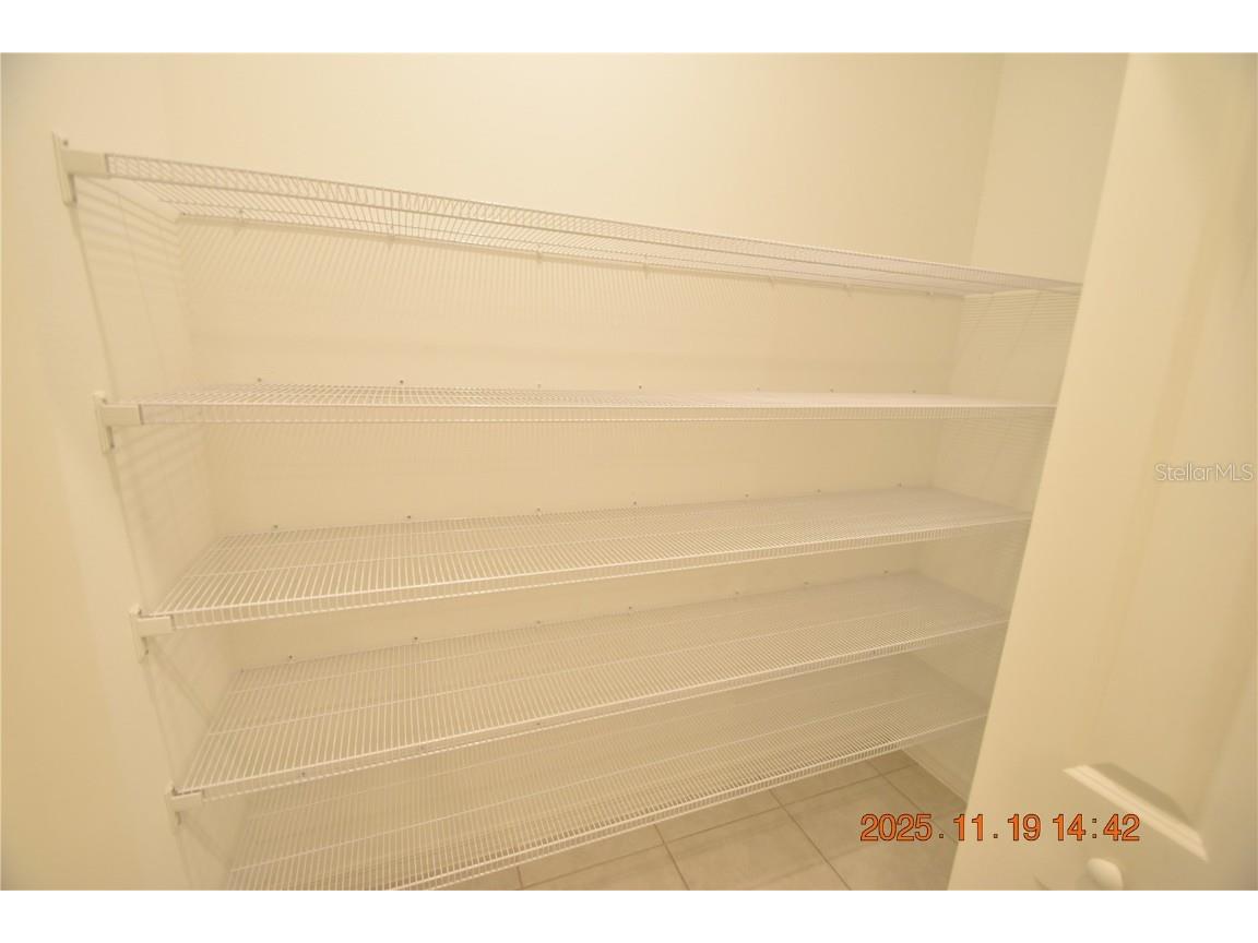 6252 Shiner Street #6252 Land O Lakes FL 34638 TB8450510 image29