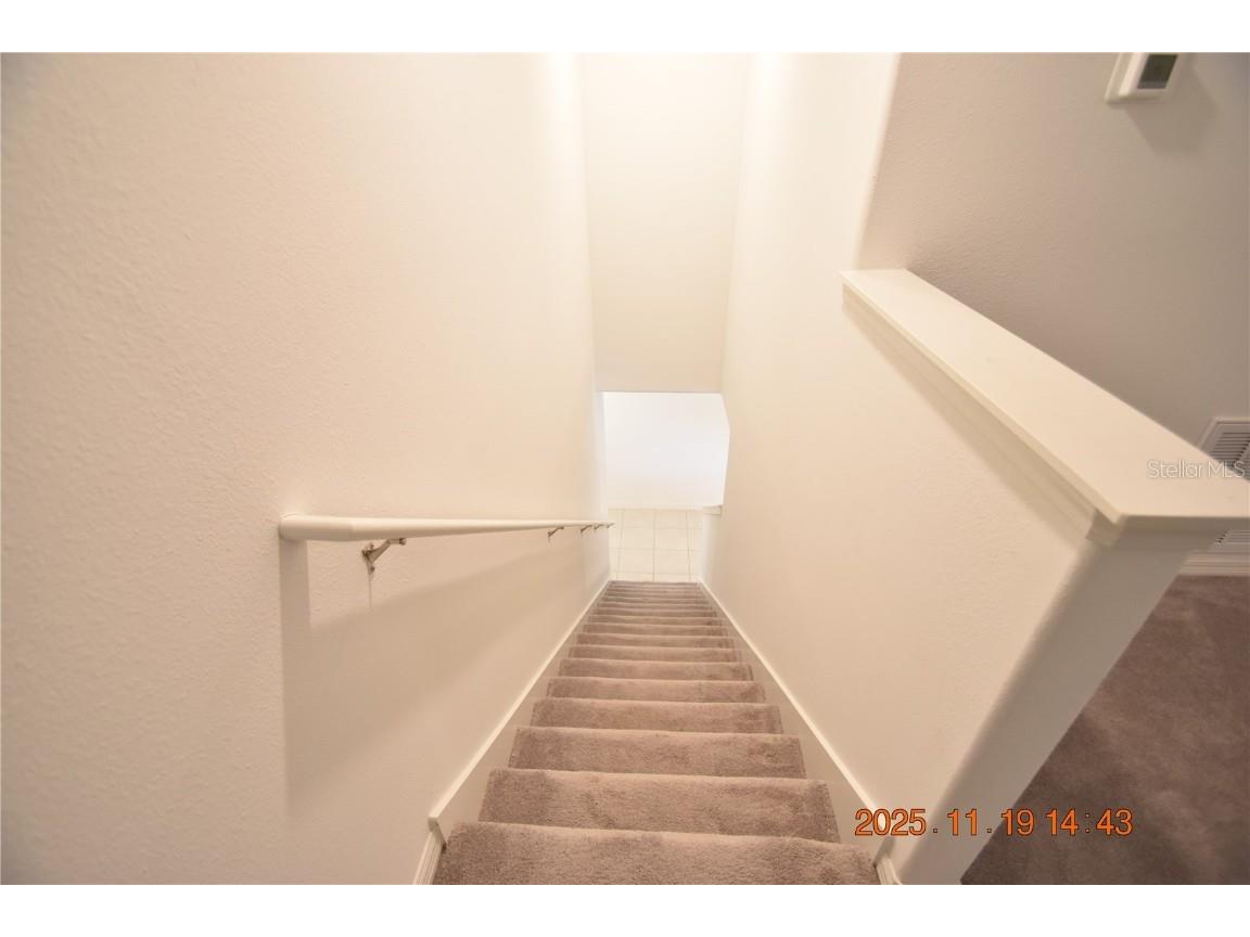 6252 Shiner Street #6252 Land O Lakes FL 34638 TB8450510 image32