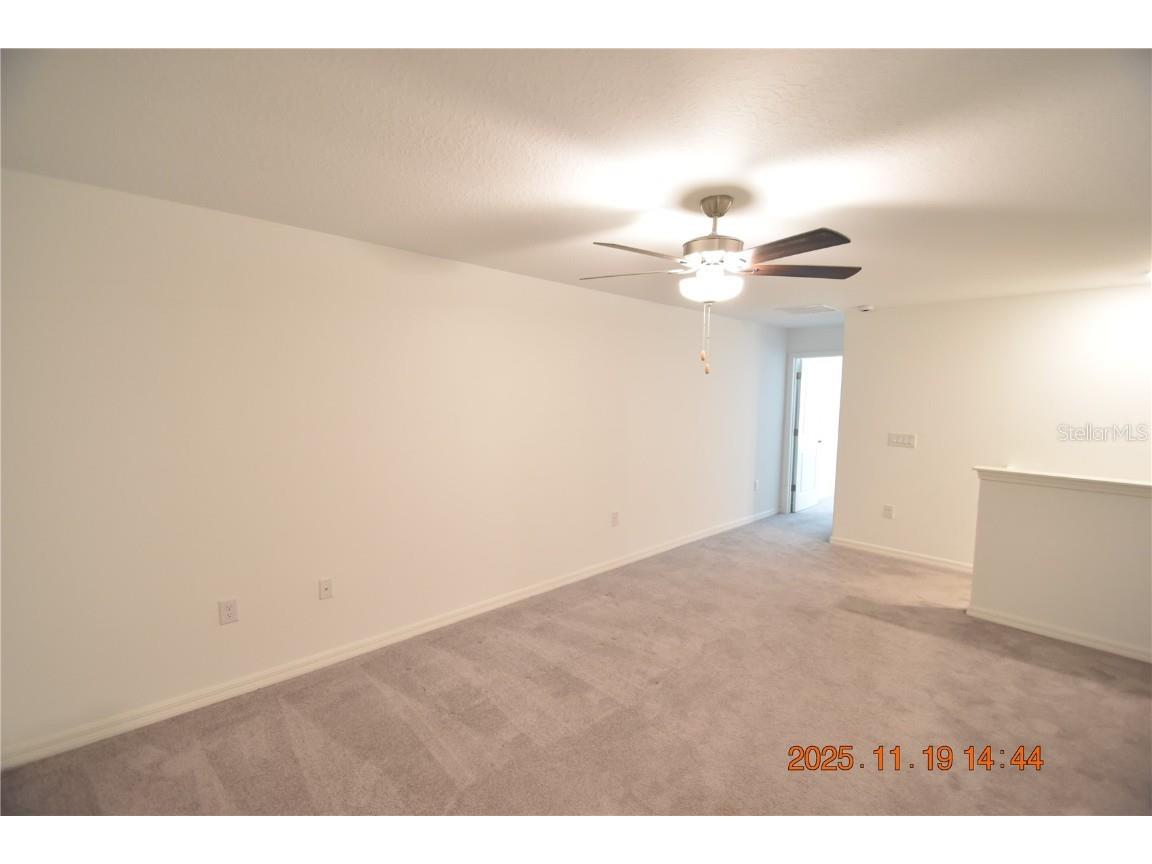 6252 Shiner Street #6252 Land O Lakes FL 34638 TB8450510 image35