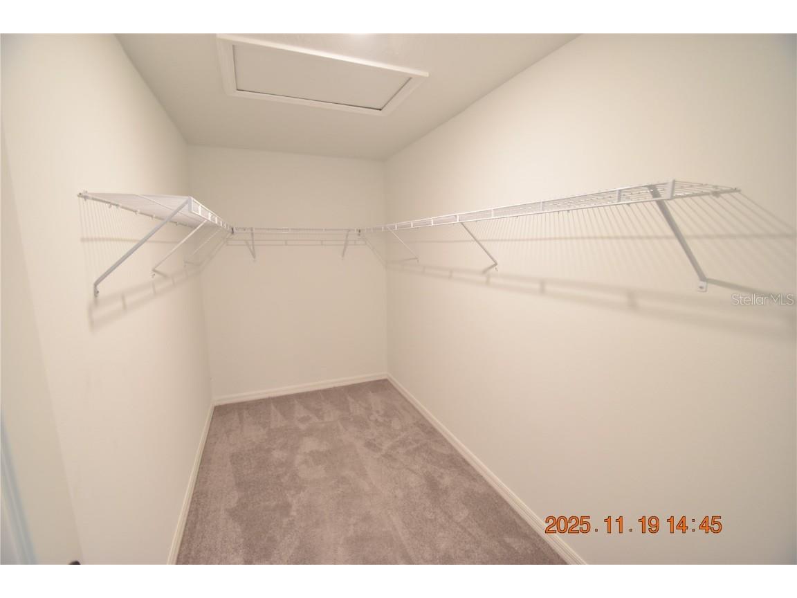 6252 Shiner Street #6252 Land O Lakes FL 34638 TB8450510 image41