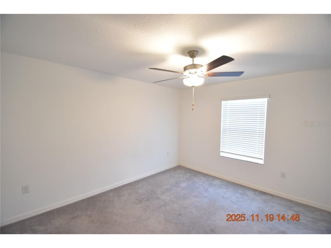 6252 Shiner Street #6252 Land O Lakes FL 34638 TB8450510 image49