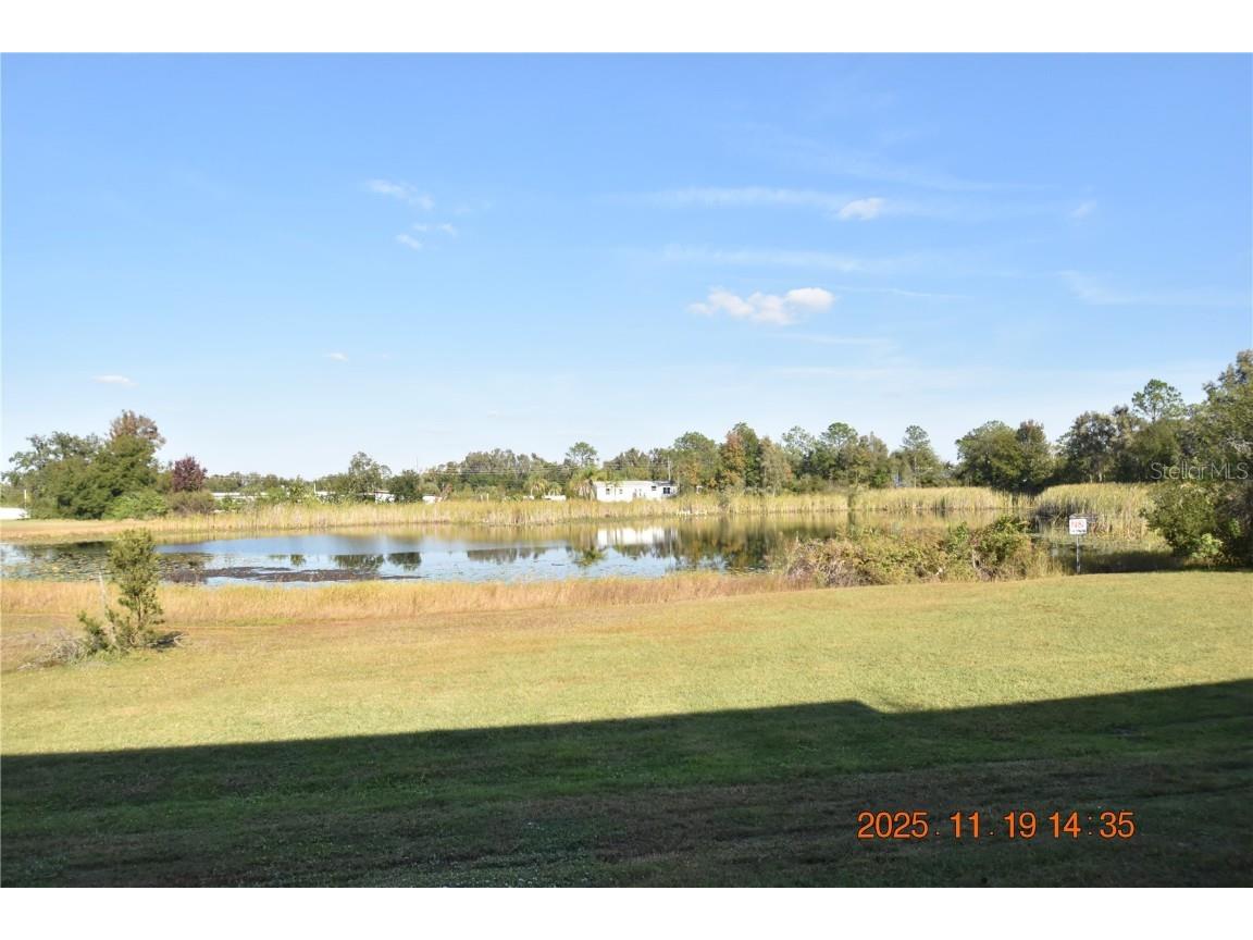 6252 Shiner Street #6252 Land O Lakes FL 34638 TB8450510 image9