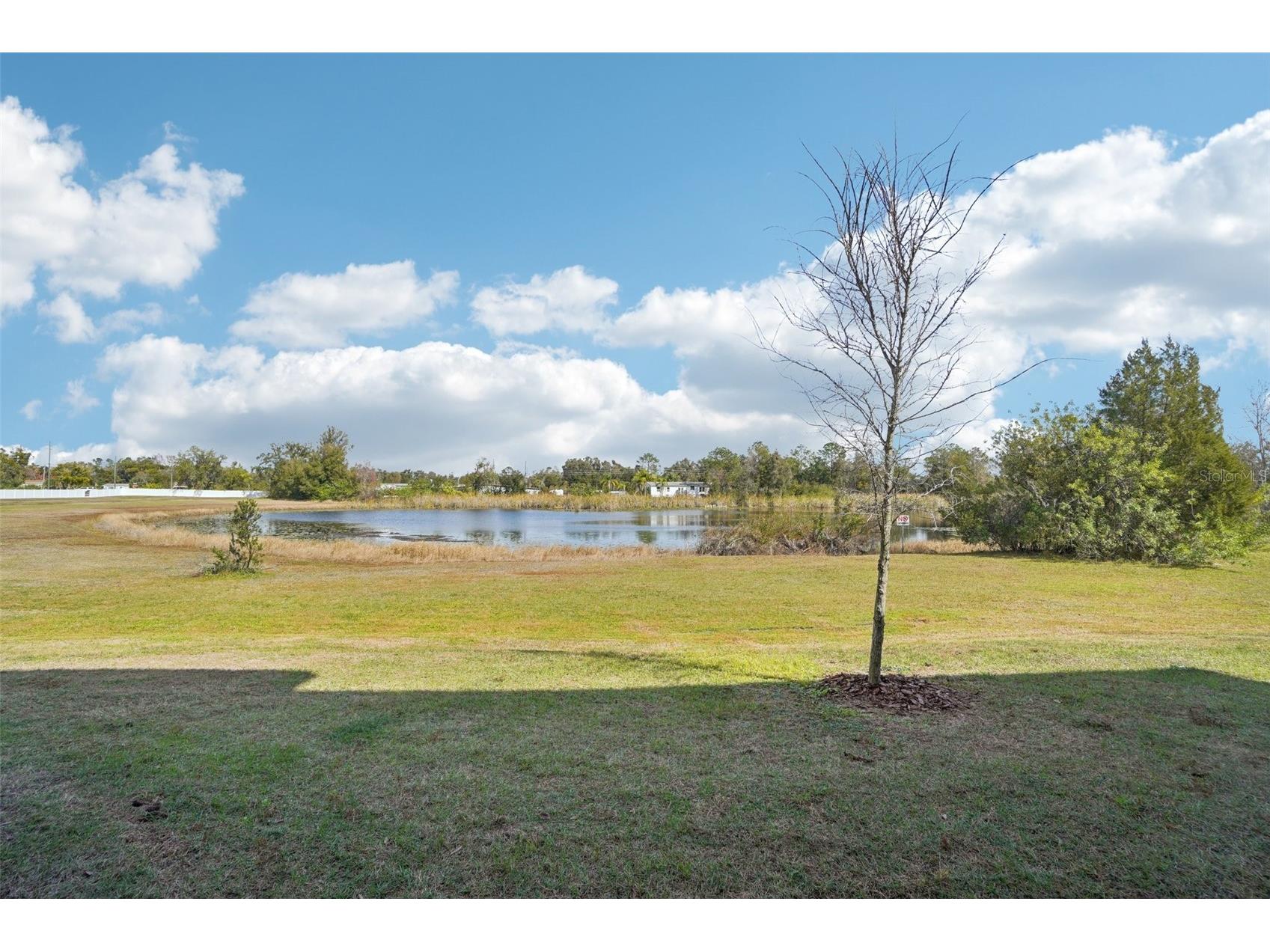 6252 Shiner Street Land O Lakes FL 34638 TB8467082 image19