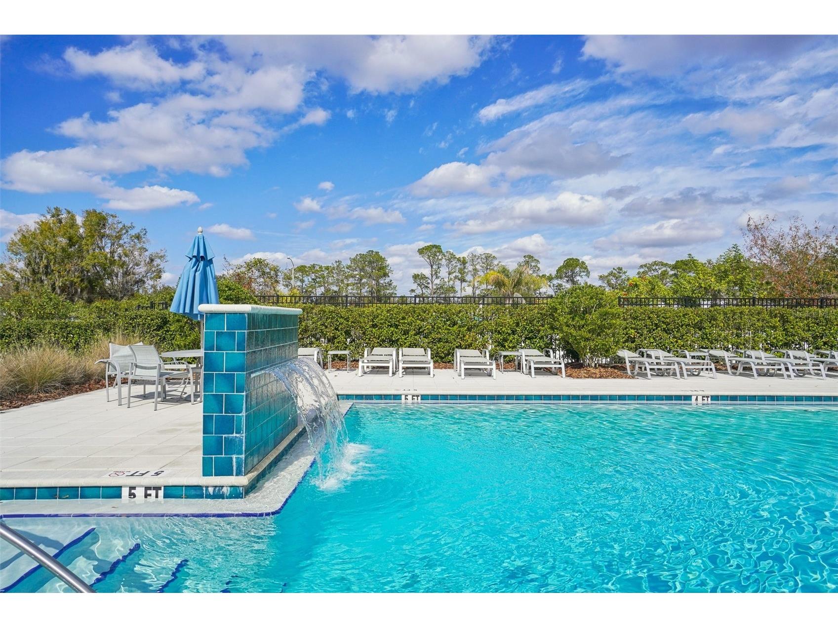 6252 Shiner Street Land O Lakes FL 34638 TB8467082 image2