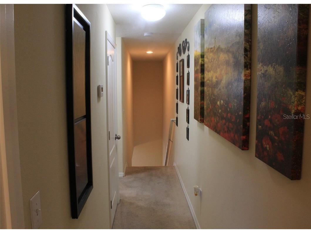 6252 Timberly Lane Zephyrhills FL 33542 TB8416025 image15