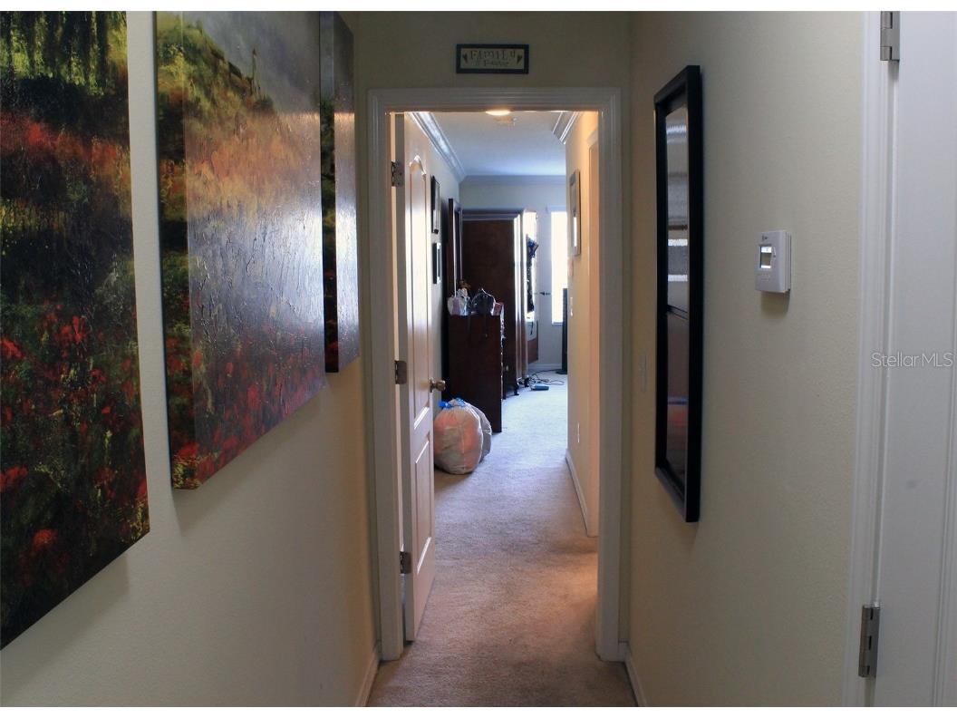 6252 Timberly Lane Zephyrhills FL 33542 TB8416025 image7