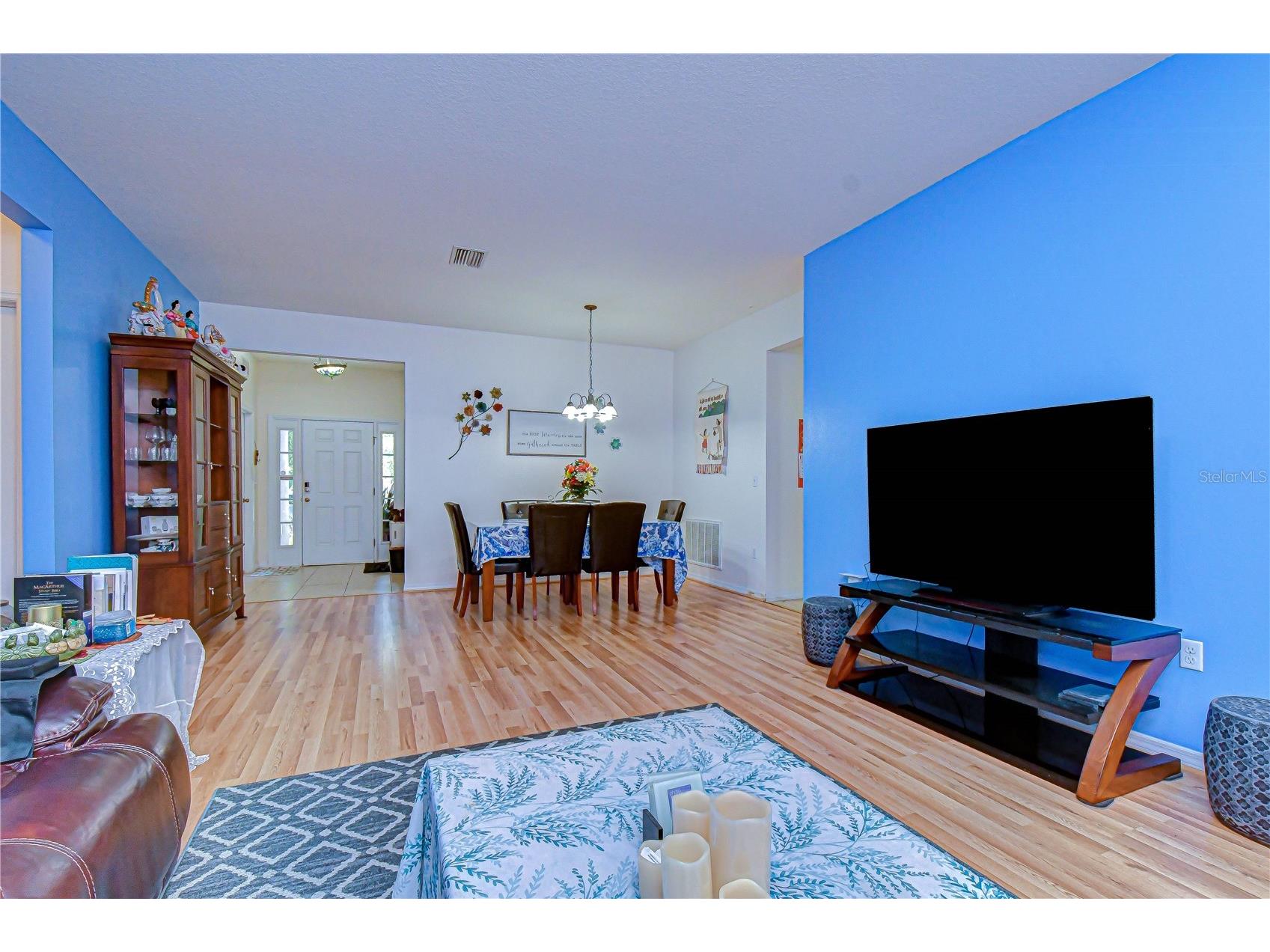 6252 Twin Bridges Drive Zephyrhills FL 33541 TB8507305 image20