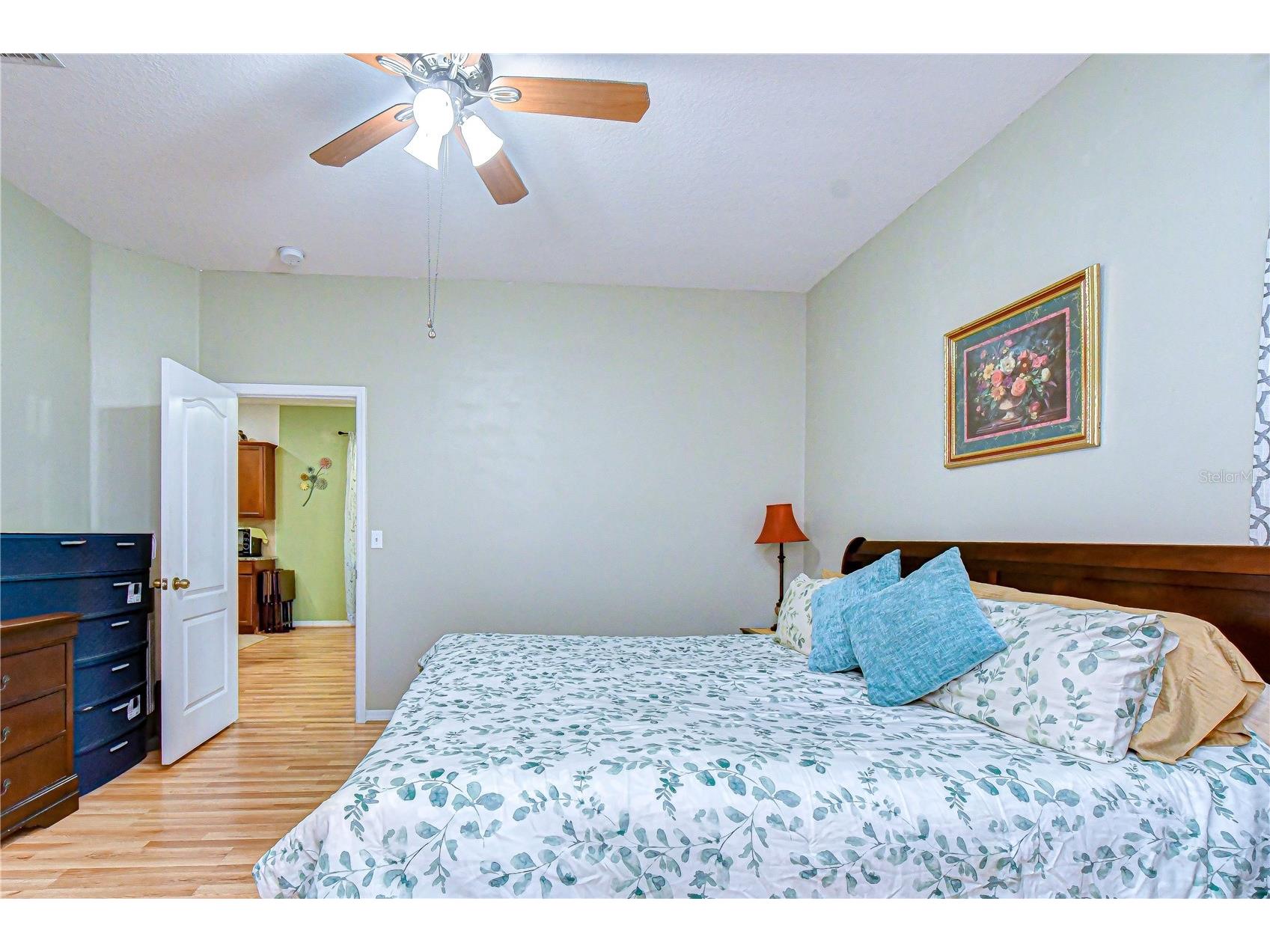 6252 Twin Bridges Drive Zephyrhills FL 33541 TB8507305 image24