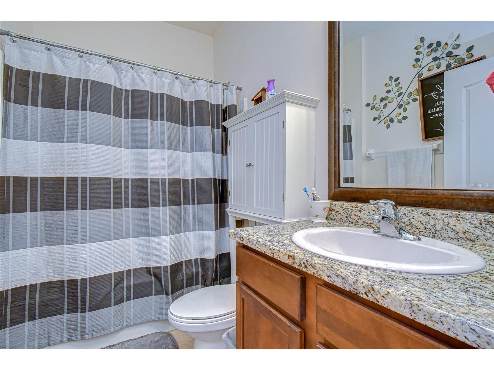 6252 Twin Bridges Drive Zephyrhills FL 33541 TB8507305 image28