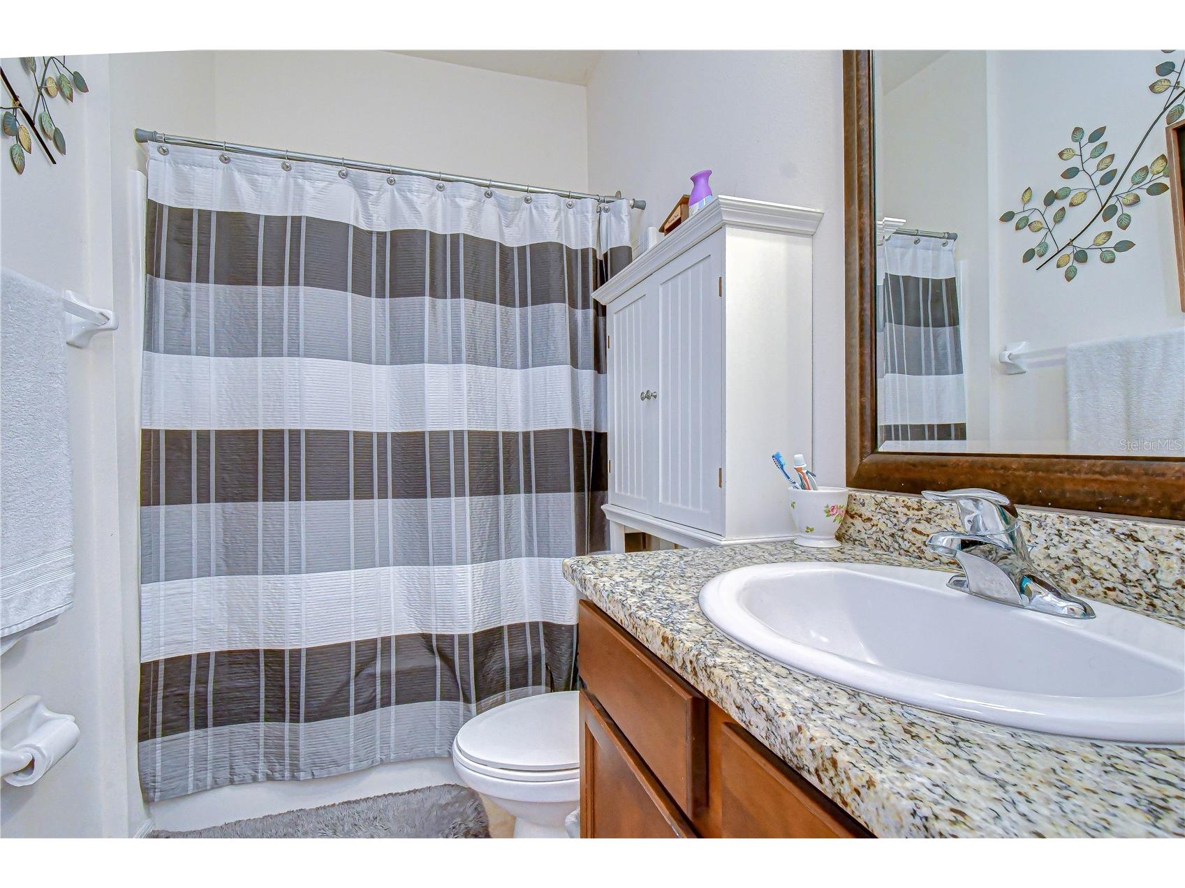 6252 Twin Bridges Drive Zephyrhills FL 33541 TB8507305 image29