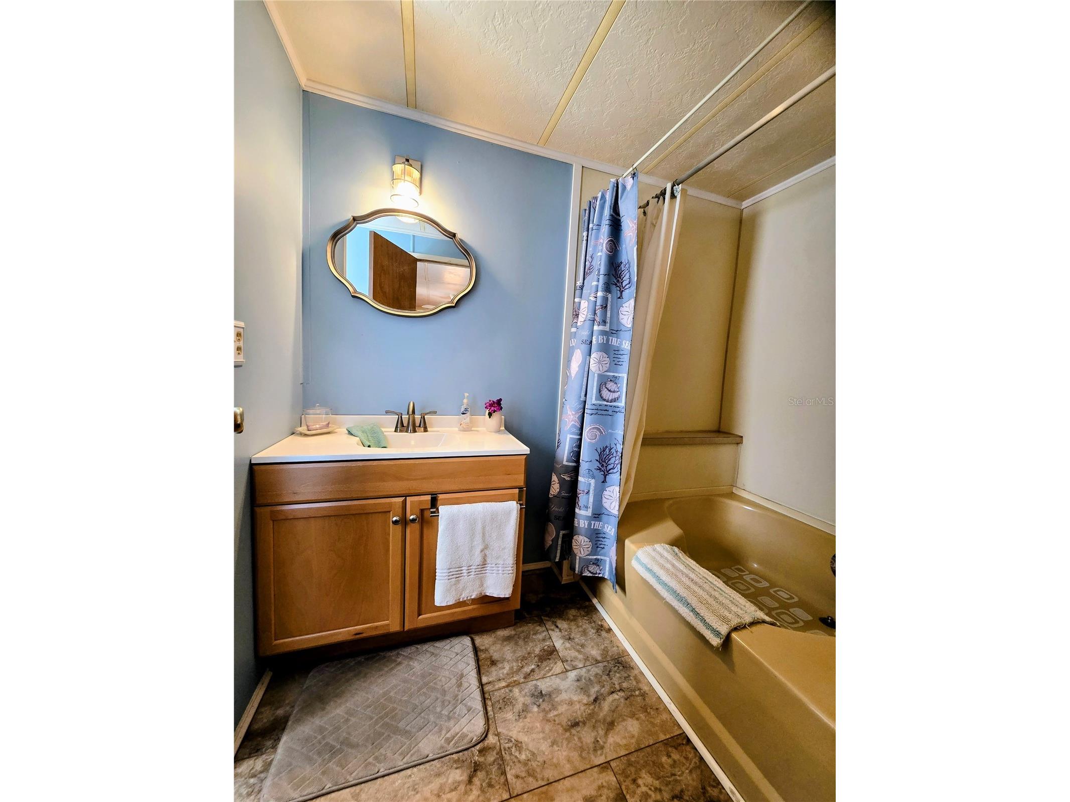 6253 Balmy Lane Zephyrhills FL 33542 TB8515979 image12