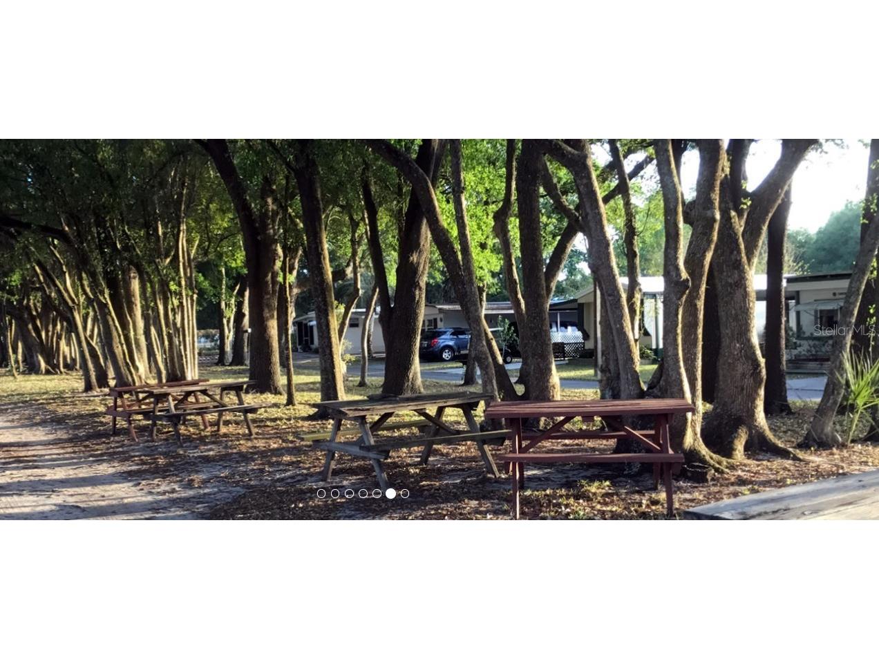 6253 Balmy Lane Zephyrhills FL 33542 TB8515979 image36