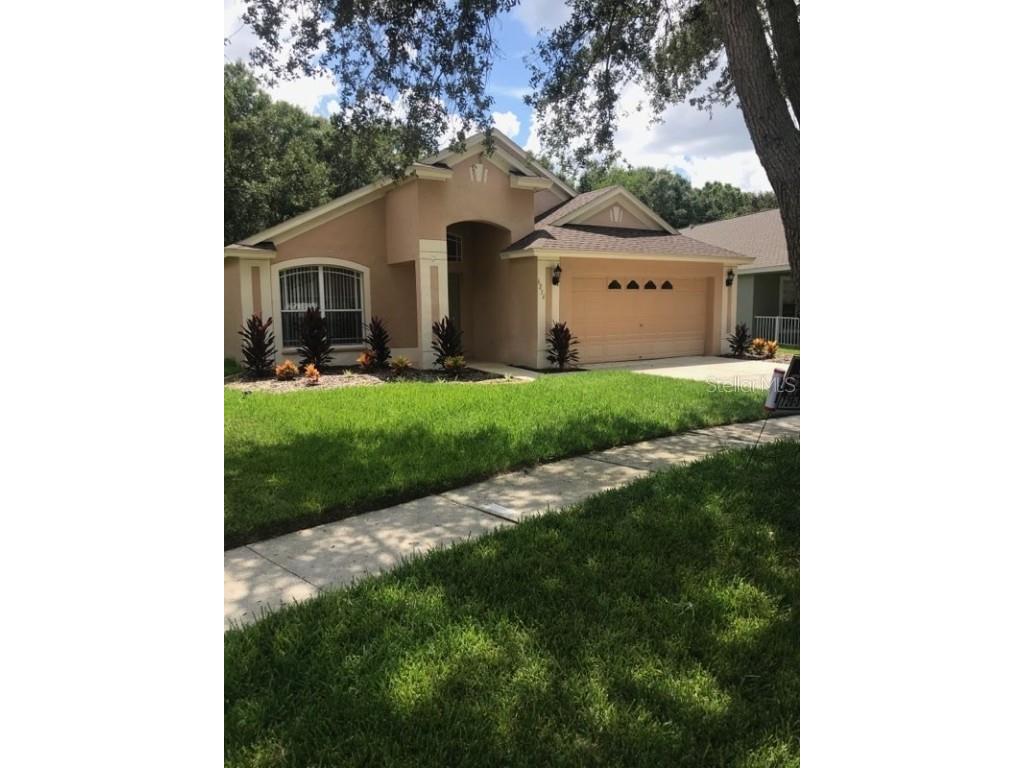 6254 Crickethollow Drive Riverview FL 33578 U8212895 image1