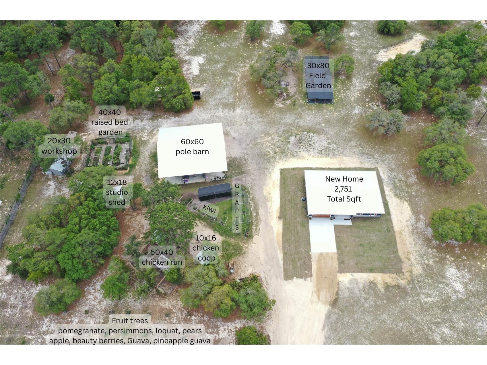 6254 W Peking Court Dunnellon FL 34433 OM723427 image86