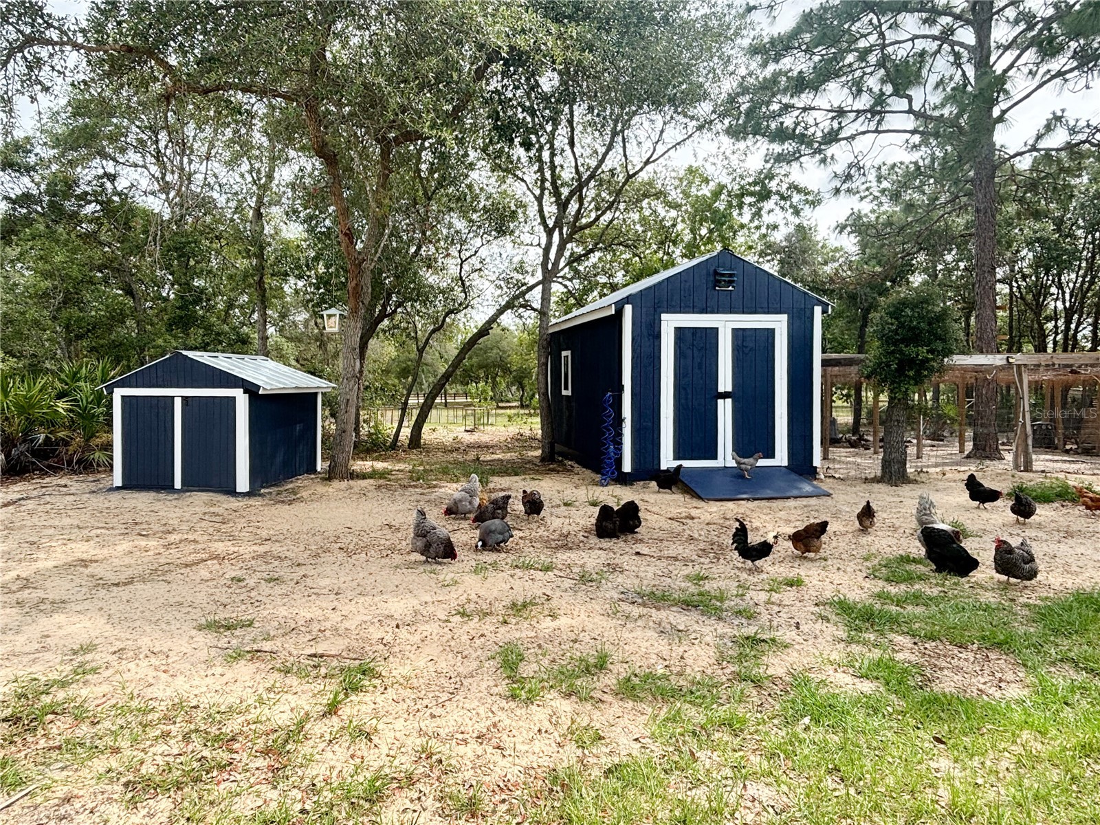 6254 W Peking Court Dunnellon FL 34433 OM723427 image92