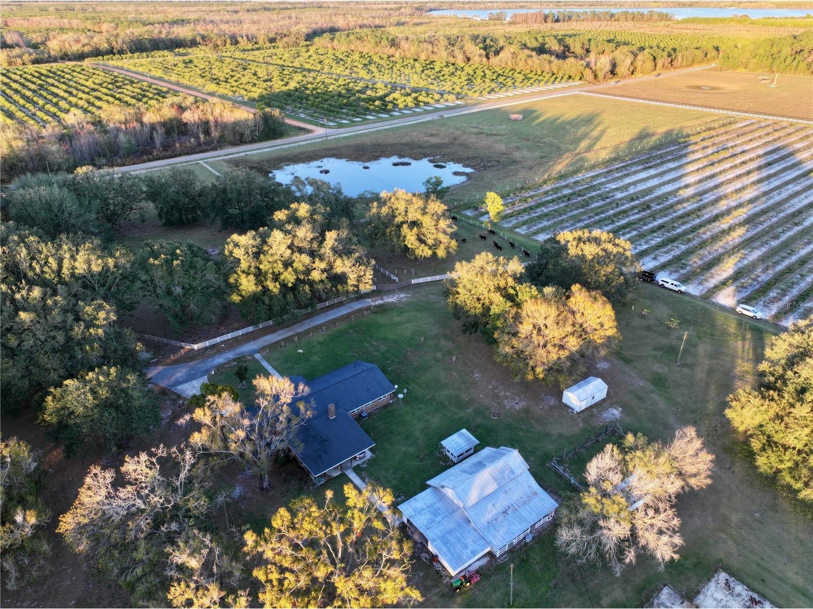 6255 Mercantile Lane Fort Meade FL 33841 OM694315 image15