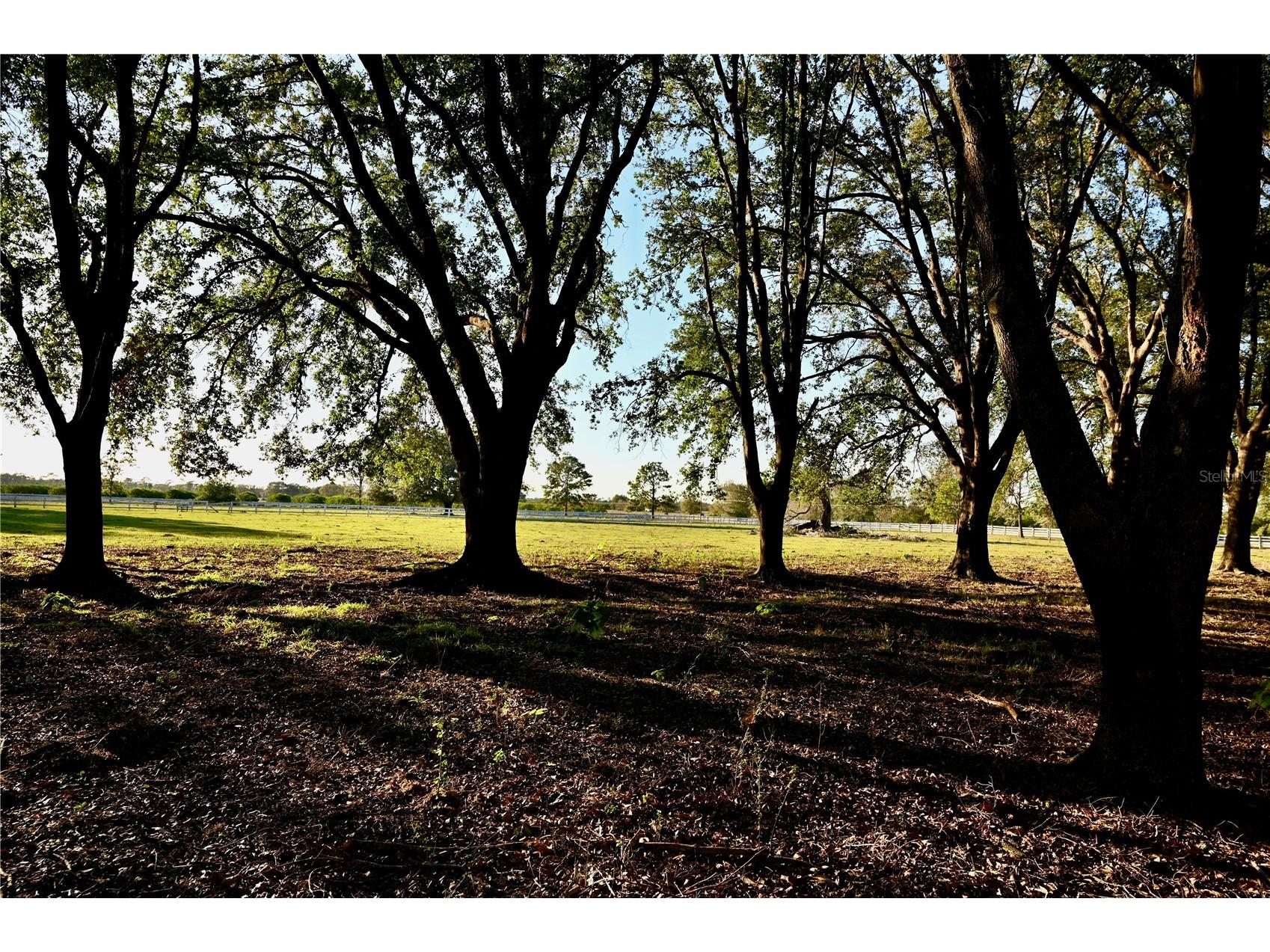 6255 Mercantile Lane Fort Meade FL 33841 OM694315 image18