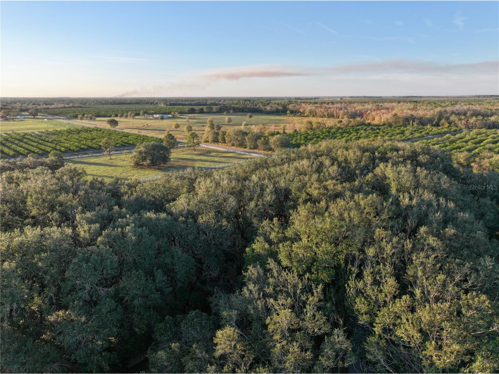 6255 Mercantile Lane Fort Meade FL 33841 OM694315 image19