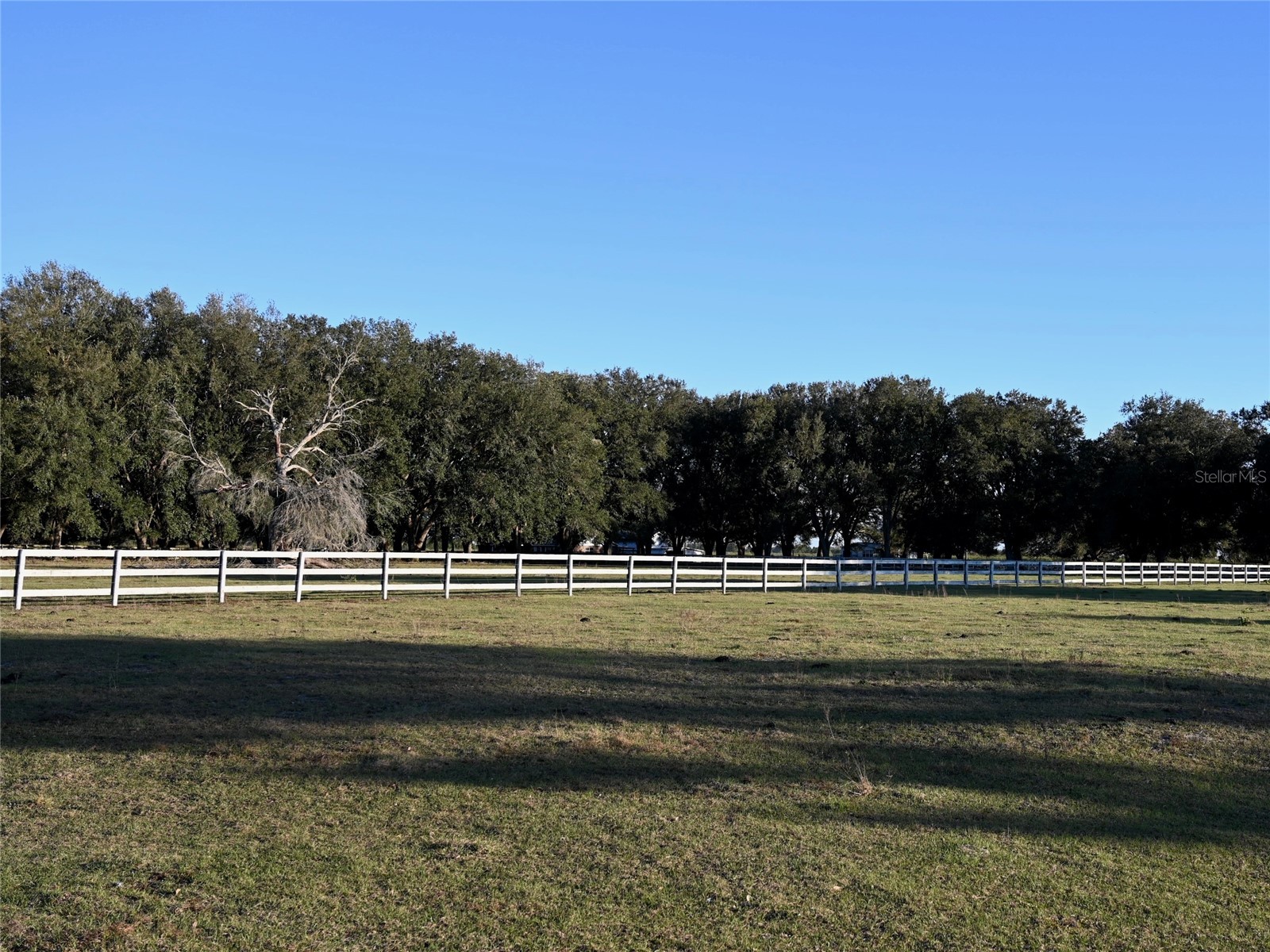 6255 Mercantile Lane Fort Meade FL 33841 OM694315 image20