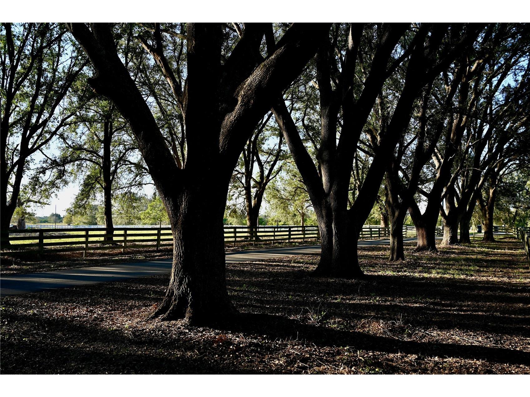 6255 Mercantile Lane Fort Meade FL 33841 OM694315 image21