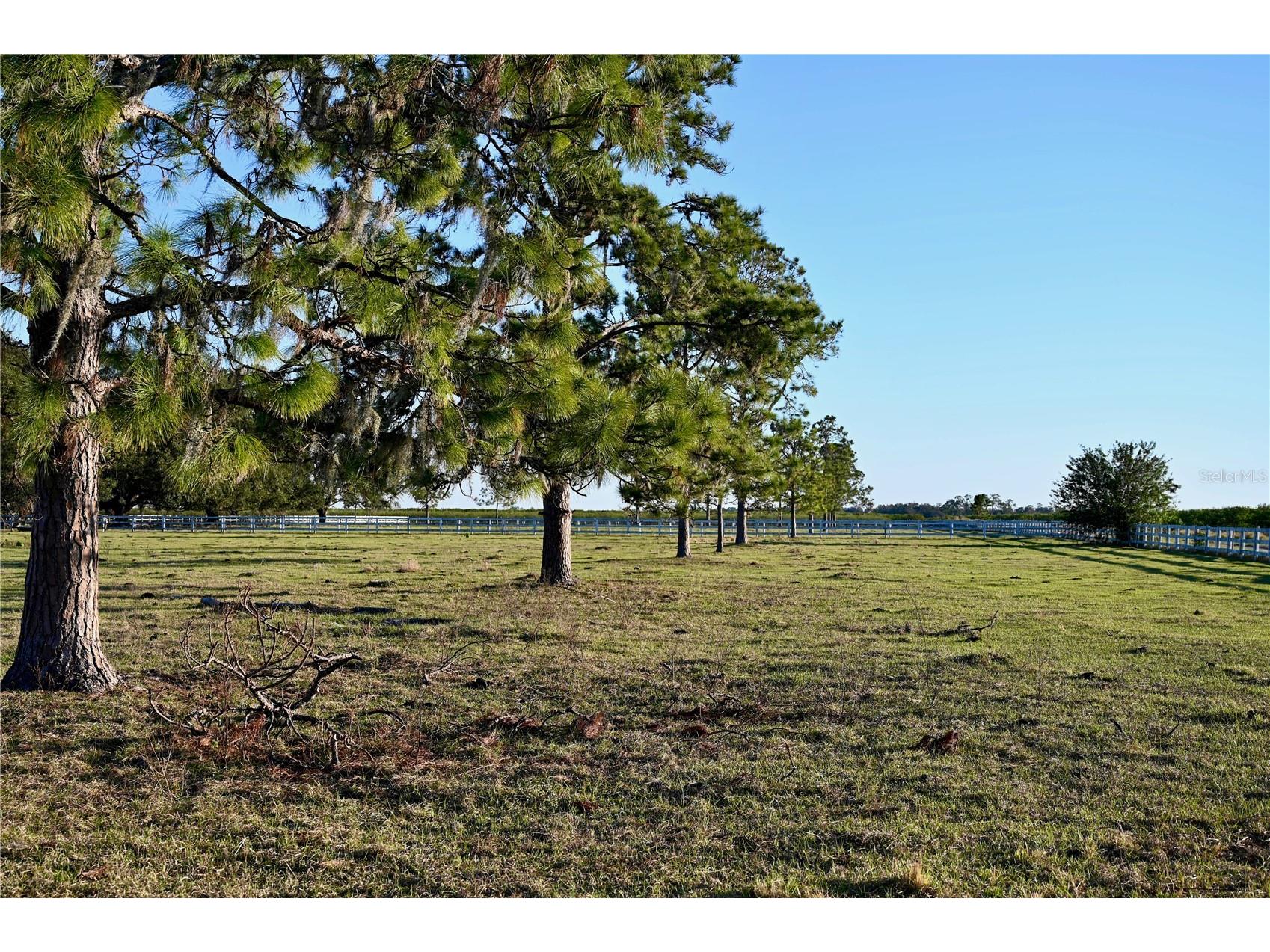 6255 Mercantile Lane Fort Meade FL 33841 OM694315 image23