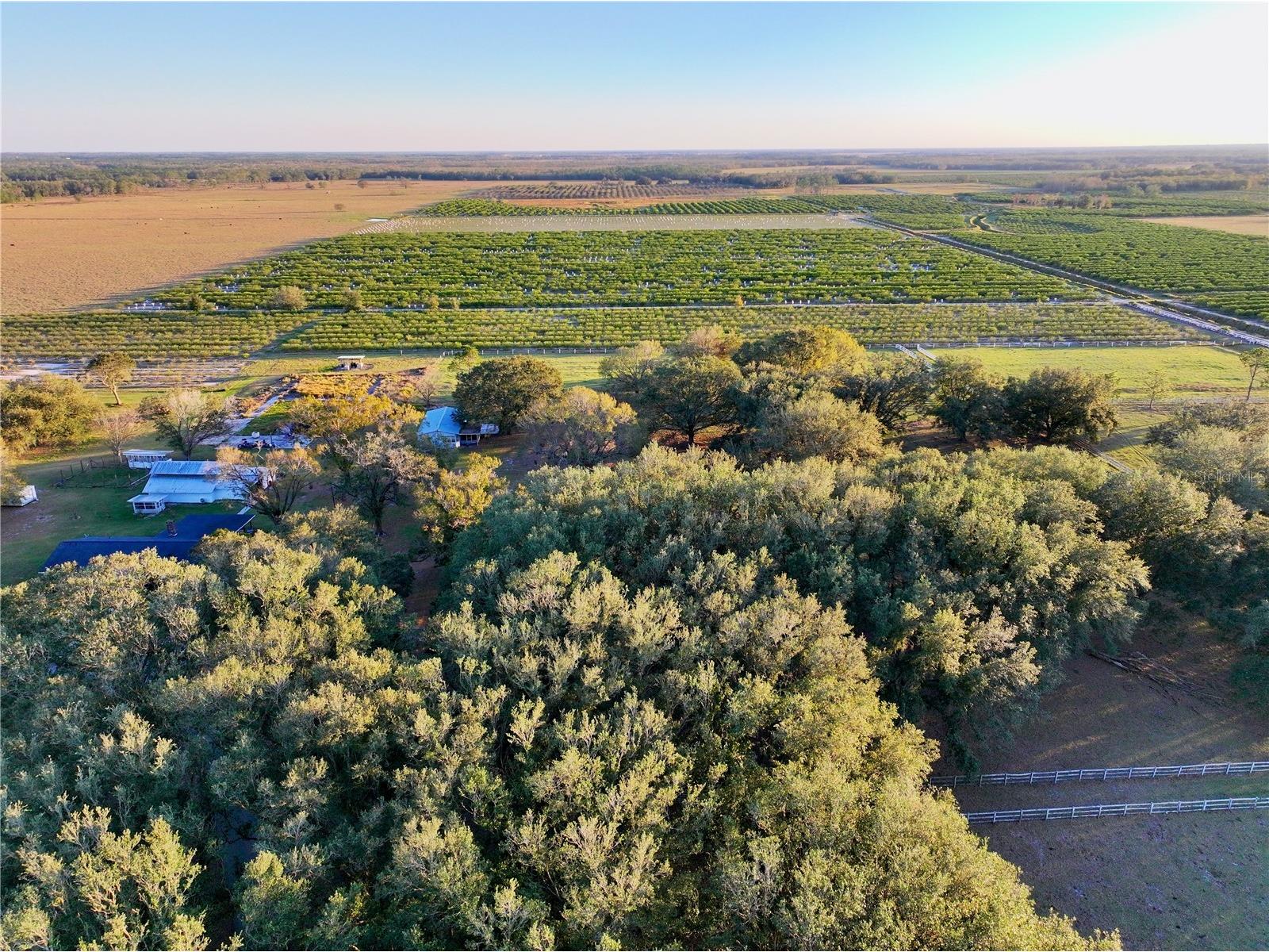 6255 Mercantile Lane Fort Meade FL 33841 OM694315 image24