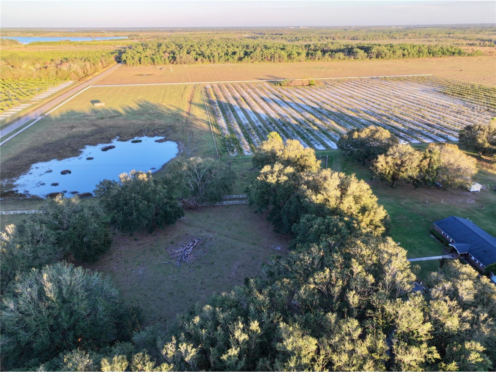 6255 Mercantile Lane Fort Meade FL 33841 OM694315 image27