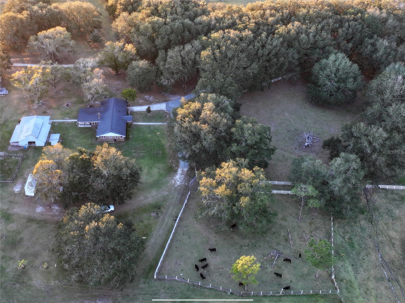 6255 Mercantile Lane Fort Meade FL 33841 OM694315 image29