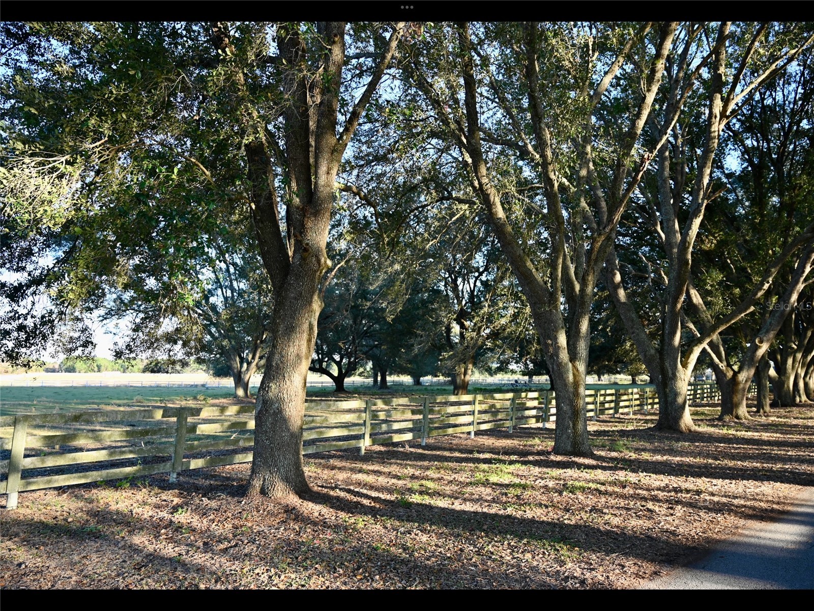 6255 Mercantile Lane Fort Meade FL 33841 OM694315 image35