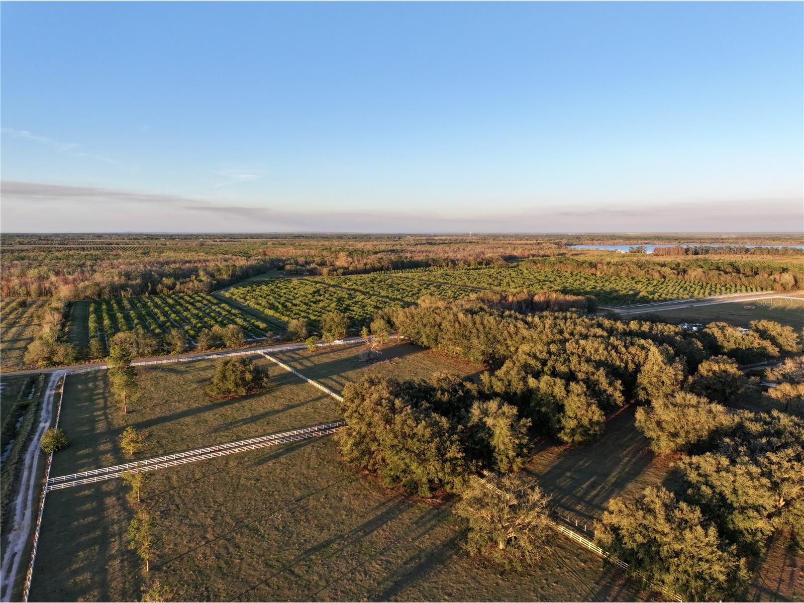 6255 Mercantile Lane Fort Meade FL 33841 OM694315 image36