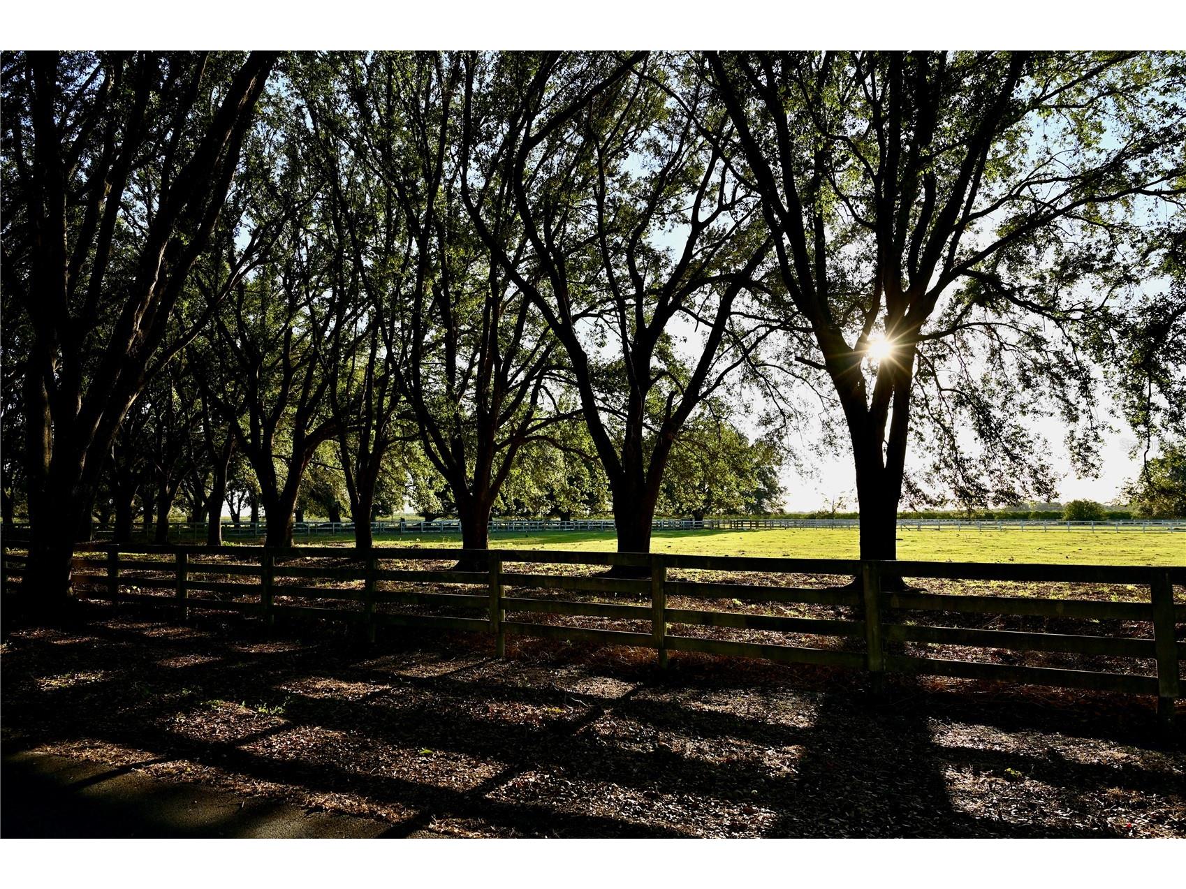 6255 Mercantile Lane Fort Meade FL 33841 OM694315 image37