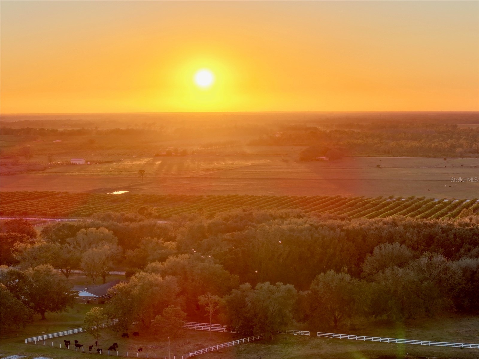 6255 Mercantile Lane Fort Meade FL 33841 OM694315 image38