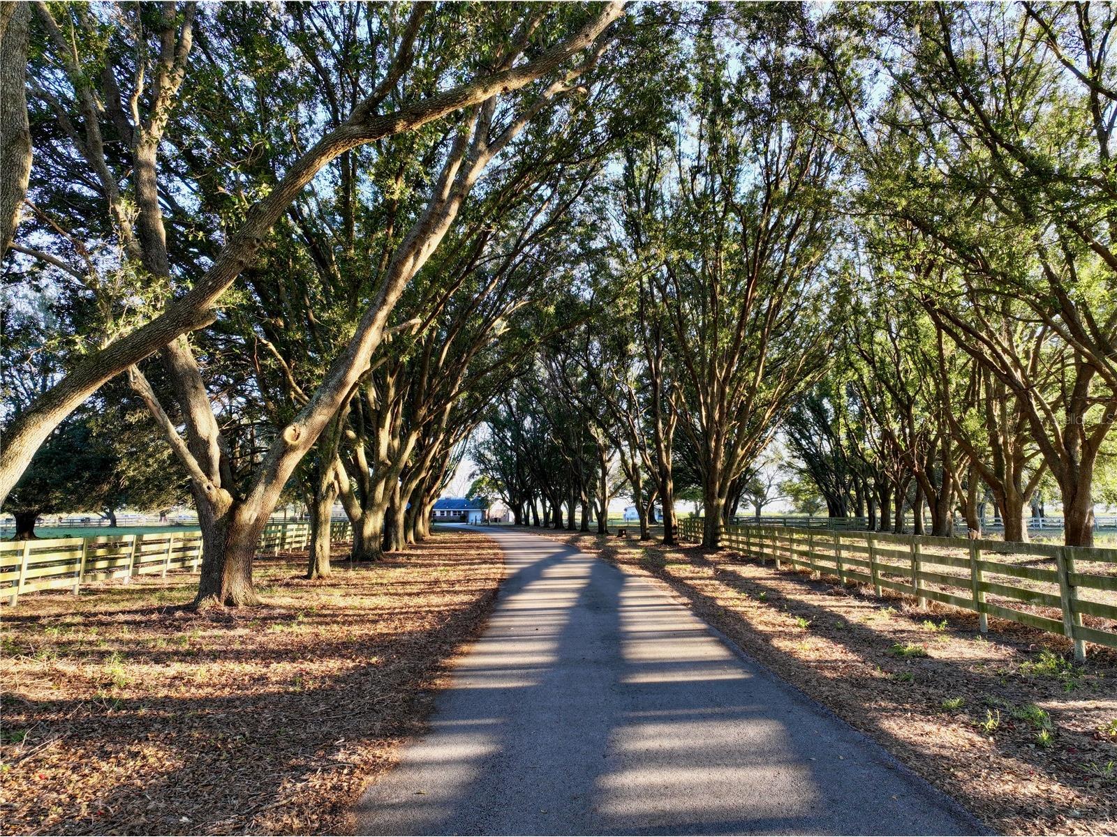 6255 Mercantile Lane Fort Meade FL 33841 OM694315 image5