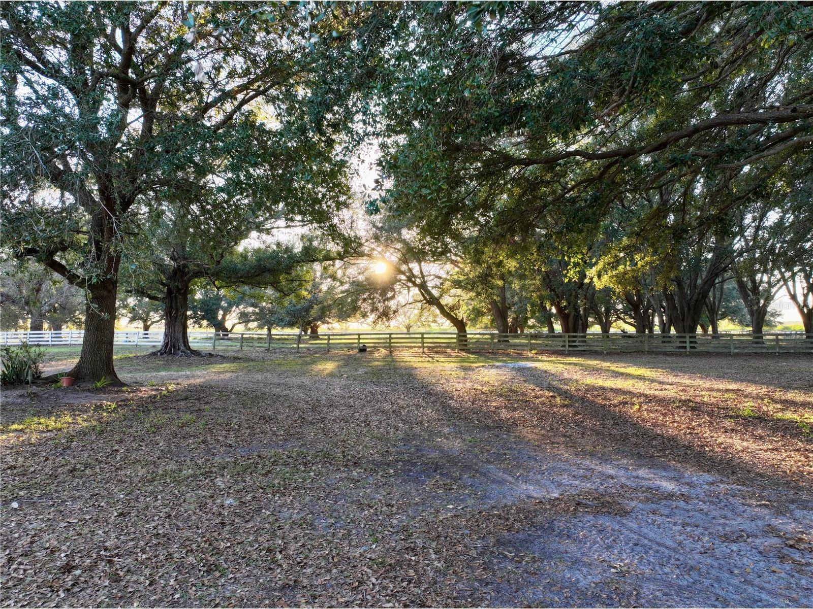 6255 Mercantile Lane Fort Meade FL 33841 OM694315 image7