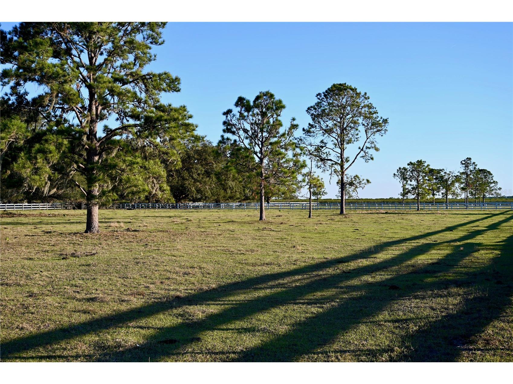 6255 Mercantile Lane Fort Meade FL 33841 OM694315 image8