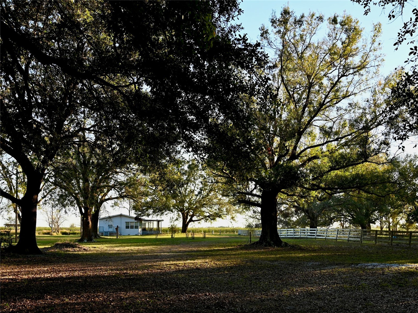 6255 Mercantile Lane Fort Meade FL 33841 OM694315 image9