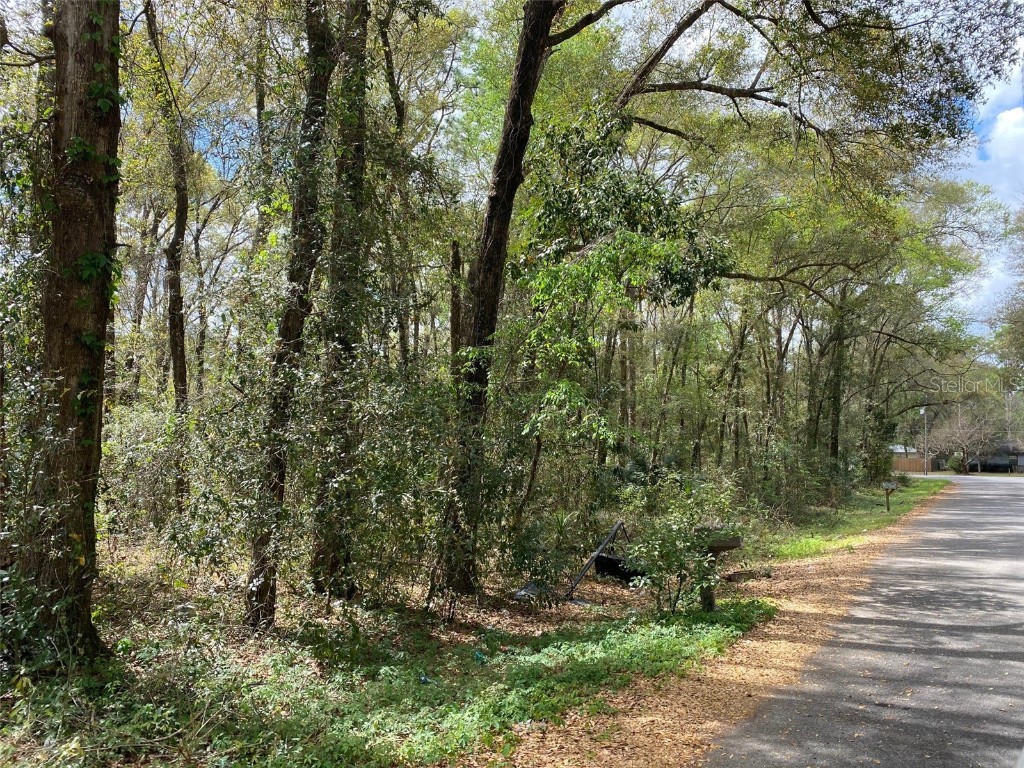 6255 NW 65th Place Ocala FL 34482 OM635529 image1
